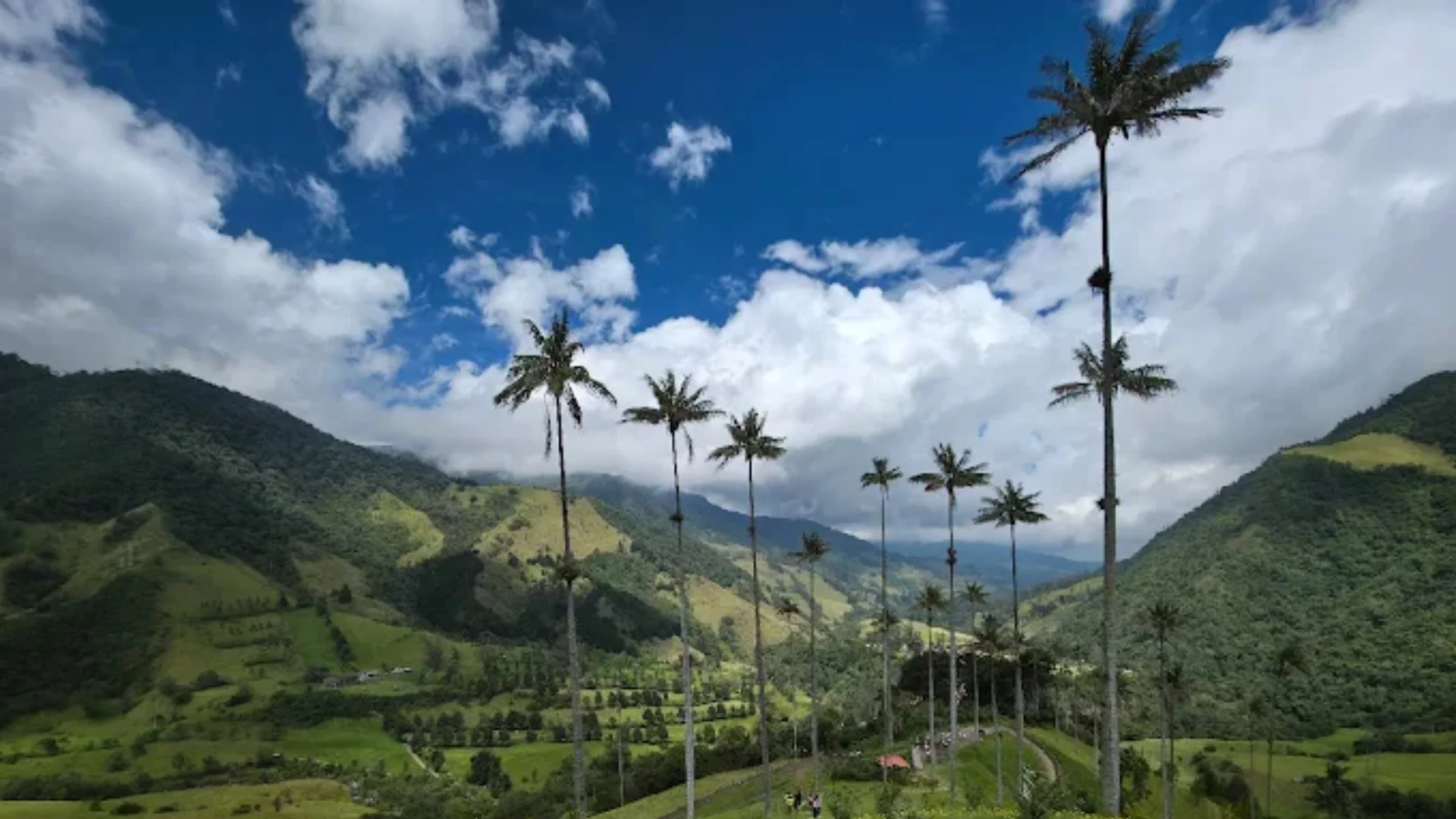 Quindío All Inclusive